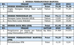 Ringkasan Laporan Penyelenggaraan Pemerintahan Daerah (RLPPD) Kota Tangerang Tahun 2021 - tabel1 - www.indopos.co.id